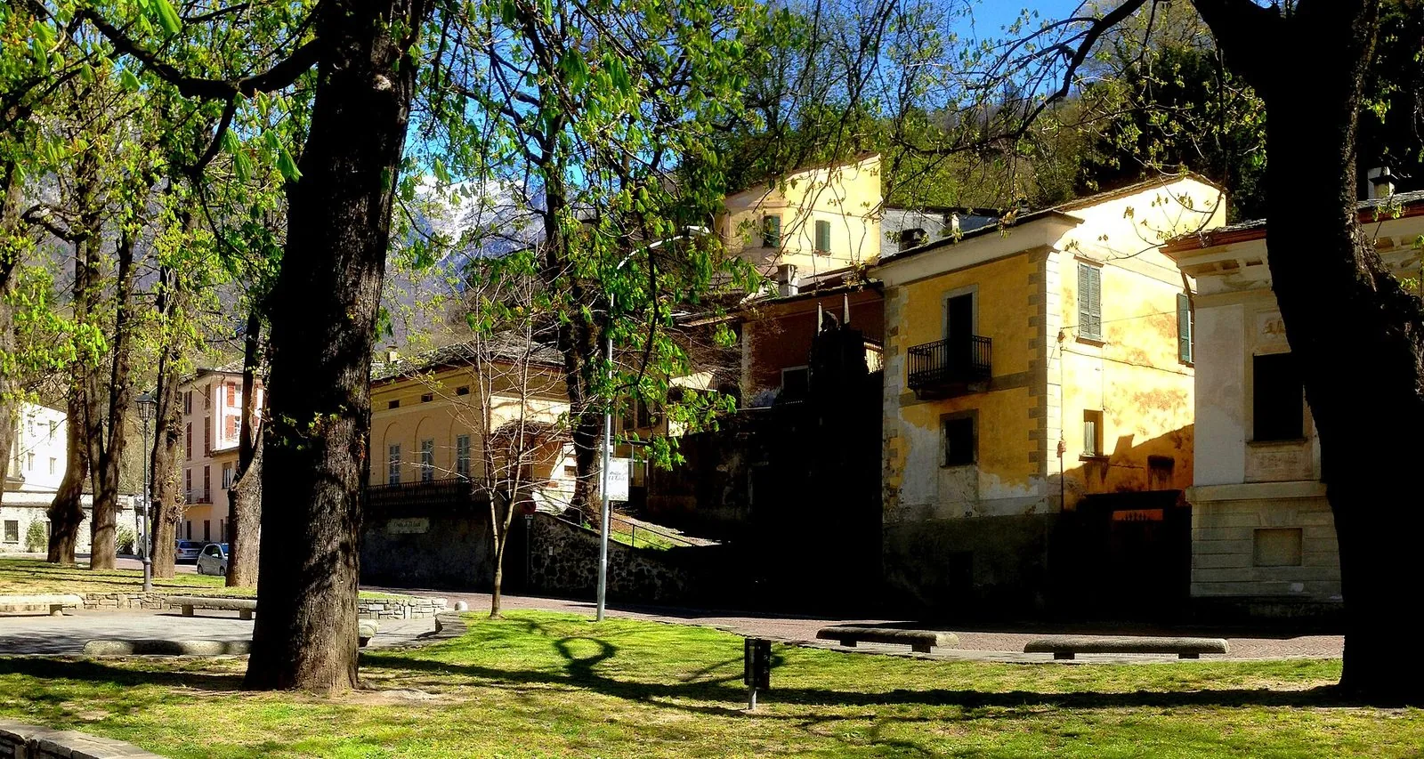 Il parco di Pratogiano a Chiavenna in primavera, con grandi alberi appena germogliati, il prato all'ombra e le case gialle ai piedi del versante, con una montagna innevata in lontananza